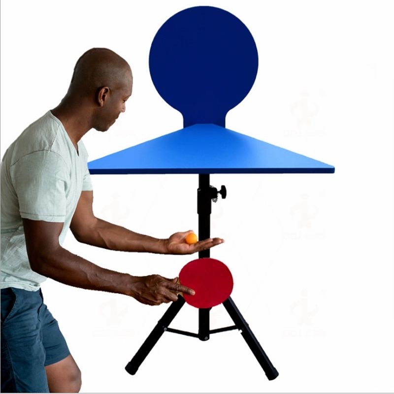 WAP02 Table de tennis de table - Table Tennis Practice avis et prix