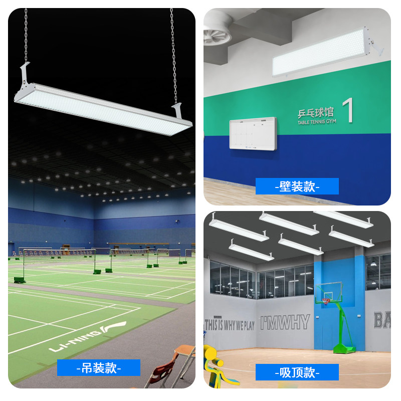 Badminton, basket-ball, tennis - Hall Table Tennis avis et prix